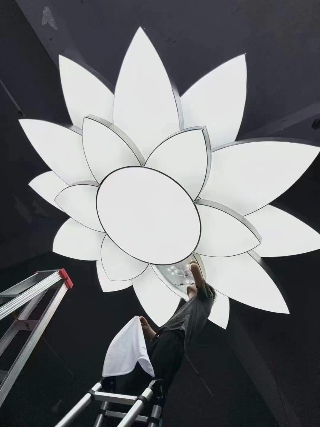 Translucent Shape Image